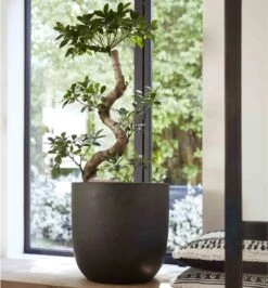 Capi Europe - Bloempot Bol Smooth NL - 35x34 - Zwart - Voor Binnen En Buiten - KBL932 24 Capi Europe - Bloempot Bol Smooth NL - 35x34 - Zwart - Voor Binnen En Buiten - KBL932 -Tuin En Buiten 1116x1200