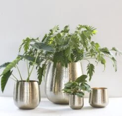 Gina Da - Bloempot - Karakter - Goud - Metaal - 15 Cm Hoog -Tuin En Buiten 1200x1142