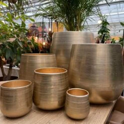 Merkloos Karakter Pot Alu Neo Gold ø40x40cm 9 Merkloos Karakter Pot Alu Neo Gold ø40x40cm -Tuin En Buiten 1200x1198 9