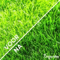 Gazonmest All-In-One (20Kg - Voor 400m2) Voor Een Diepgroen Sterk Gazon Zonder Mos En Onkruid - Complete Meststof Met Kalk En Grasversterker - Organifer -Tuin En Buiten 1200x1200 436