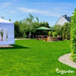 Gazonmest All-In-One (20Kg - Voor 400m2) Voor Een Diepgroen Sterk Gazon Zonder Mos En Onkruid - Complete Meststof Met Kalk En Grasversterker - Organifer -Tuin En Buiten 1200x1200 443