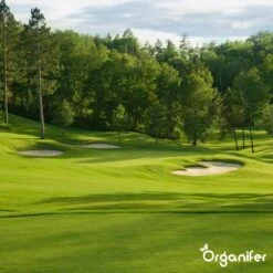 Gazonmest All-In-One (20Kg - Voor 400m2) Voor Een Diepgroen Sterk Gazon Zonder Mos En Onkruid - Complete Meststof Met Kalk En Grasversterker - Organifer -Tuin En Buiten 1200x1200 445