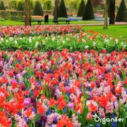 Lavagruis Uit Eifel Oergesteente (20Kg Voor 200m2) Grof Lavameel 0-2mm - Organifer -Tuin En Buiten 1200x1200 454