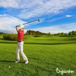 Lavagruis Uit Eifel Oergesteente (20Kg Voor 200m2) Grof Lavameel 0-2mm - Organifer -Tuin En Buiten 1200x1200 455