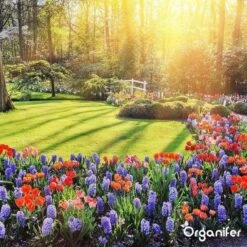 Lavagruis Uit Eifel Oergesteente (20Kg Voor 200m2) Grof Lavameel 0-2mm - Organifer -Tuin En Buiten 1200x1200 462