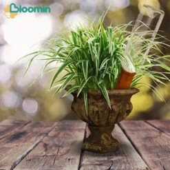 Bloomin Waterdruppelaar Van Terracotta - Waterdruppelaar Voor Planten - Druppelsysteem - Irrigatiesysteem - Watergeefsysteem - Bewateringssysteem - 8 Stuks -Tuin En Buiten 1200x1200 616