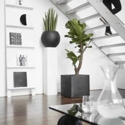 Capi Europe - Bloempot Vierkant Smooth NL - 50x50x50 - Zwart - Voor Binnen En Buiten - KBL904 -Tuin En Buiten 1200x1200 693