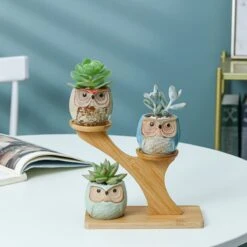 Luxe Bamboe Houten Boom Met 3 Keramiek Uil Bloempotten/Plantenpotten Op Standaard/Voet Voor Binnen En Buiten - Modern Design Bloempot/Plantenpot Op Poten/Pootjes-Plantenbak Mini Cactus Nep Plant Pot Houder - Kleine Bloembakken Plantenrek/Plantenkurk -Tuin En Buiten 1200x1200 701