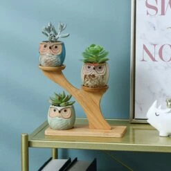 Luxe Bamboe Houten Boom Met 3 Keramiek Uil Bloempotten/Plantenpotten Op Standaard/Voet Voor Binnen En Buiten - Modern Design Bloempot/Plantenpot Op Poten/Pootjes-Plantenbak Mini Cactus Nep Plant Pot Houder - Kleine Bloembakken Plantenrek/Plantenkurk -Tuin En Buiten 1200x1200 702