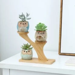 Luxe Bamboe Houten Boom Met 3 Keramiek Uil Bloempotten/Plantenpotten Op Standaard/Voet Voor Binnen En Buiten - Modern Design Bloempot/Plantenpot Op Poten/Pootjes-Plantenbak Mini Cactus Nep Plant Pot Houder - Kleine Bloembakken Plantenrek/Plantenkurk -Tuin En Buiten 1200x1200 703