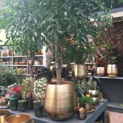 Merkloos Bloempot Karakter Goud - L -Tuin En Buiten 1200x1200 713