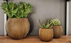 Capi Europe - Set Van 3 - Bloempot Binnen - Groove - - Goud - Bloempot Voor Binnen - BOX-BGVGB-3 -Tuin En Buiten 1200x723