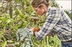 Stihl Accu Mini Kettingzaag SET - Snoeischaar - Snoeizaag - Hand Kettingzaag - Professioneel- Hovenier- Tuinman -Tuin En Buiten 1200x779