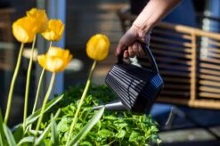 Xala - Gieter Doppio Groove 2L Olijfgrijs -Tuin En Buiten 1200x799 46