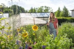 GARDENA - Comfort Broeskop - 5 Straalsoorten - Grijs 28 GARDENA - Comfort Broeskop - 5 Straalsoorten - Grijs -Tuin En Buiten 1200x800 119