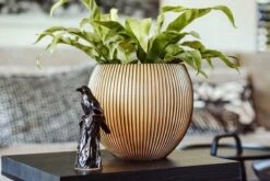 Capi Europe - Vaas Bol Groove XL - 63x51 - Goud - Bloempot Voor Binnen - Opening ⌀42 - GVGB271 -Tuin En Buiten 1200x800 165