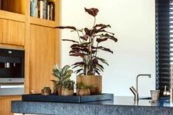 Capi Europe - Bloempot Bol Groove - 23x21 - Goud - Bloempot Voor Binnen - BGVGB134 -Tuin En Buiten 1200x800 166