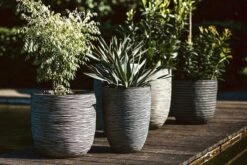 Capi Europe - Bloempot Bol Rib NL - 35x34 - Antraciet - Voor Binnen En Buiten - KOFZ932 -Tuin En Buiten 1200x800 167