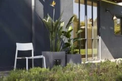 Capi Europe - Bloempot Vierkant Smooth NL - 50x50x50 - Zwart - Voor Binnen En Buiten - KBL904 -Tuin En Buiten 1200x800 170