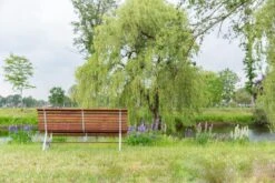 MaximaVida Tuinbank Budapest Oil 170 Cm - Uit Exclusief Mahoniehout 17 MaximaVida Tuinbank Budapest Oil 170 Cm - Uit Exclusief Mahoniehout -Tuin En Buiten 1200x800 67