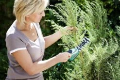 Bosch ISIO Gen III Accu Buxusschaar + Grasschaar 11 Bosch ISIO Gen III Accu Buxusschaar + Grasschaar -Tuin En Buiten 1200x800 75