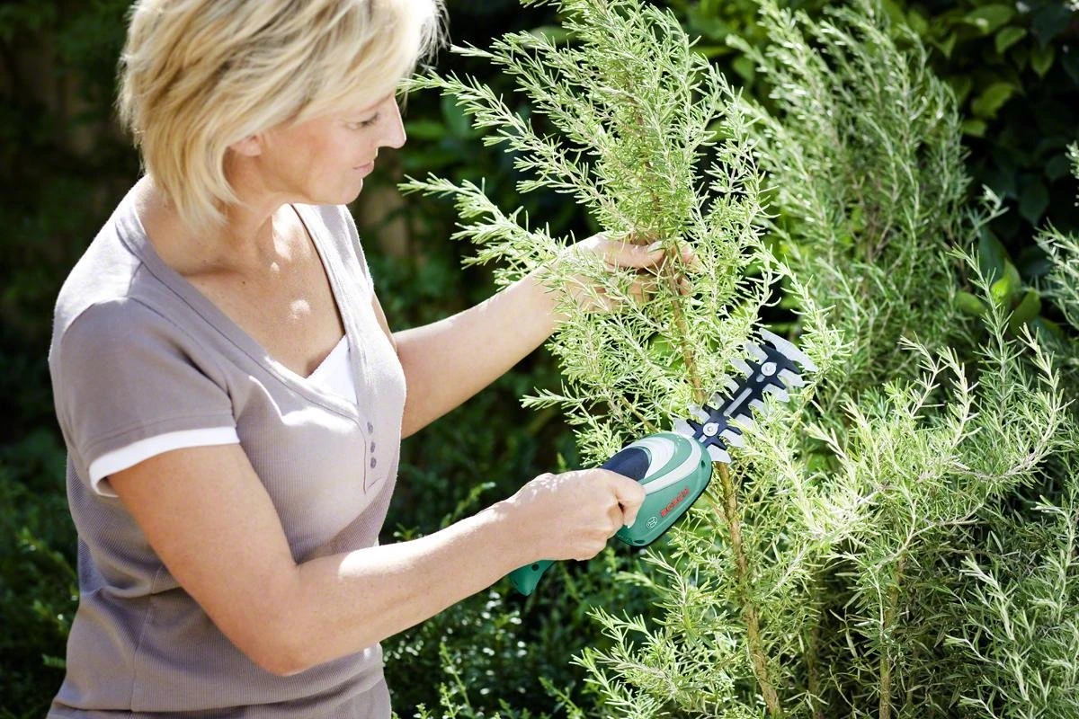 Bosch ISIO Gen III Accu Buxusschaar + Grasschaar 6 Bosch ISIO Gen III Accu Buxusschaar + Grasschaar - Afbeelding 4