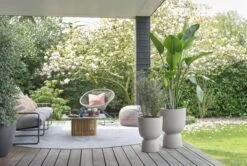 Elho Pure Coupe 35 - Bloempot Voor Binnen & Buiten - Ø 34.9 X H 49.0 Cm - Beige/Balanced Beige -Tuin En Buiten 1200x808 4