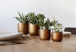 Capi Europe - Set Van 4 - Bloempot Binnen - Retro - - Goud - Bloempot Voor Binnen - BOX-BRTG-4 -Tuin En Buiten 1200x820 3