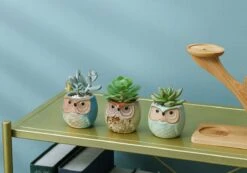 Luxe Bamboe Houten Boom Met 3 Keramiek Uil Bloempotten/Plantenpotten Op Standaard/Voet Voor Binnen En Buiten - Modern Design Bloempot/Plantenpot Op Poten/Pootjes-Plantenbak Mini Cactus Nep Plant Pot Houder - Kleine Bloembakken Plantenrek/Plantenkurk -Tuin En Buiten 1200x840
