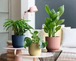 Elho Vibes Fold Rond Wielen 35 - Bloempot Voor Binnen - Ø 34.9 X H 32.4 Cm - Diepblauw -Tuin En Buiten 1200x956 1