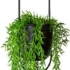 Be-Inspired® Hangende Bloempot Ovaal - Bloempot Binnen - Voor Hangplant – Plant Bloem Pot Met Opknoping – Plantenhanger - Plantenbak - Industrieel – Scandinavisch - Metaal - Zwart -Tuin En Buiten 314x1200