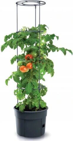 TOMATENPOT VOOR HET KWEKEN VAN TOMATEN PROSPERPLAST 28L -Tuin En Buiten 621x1200 3