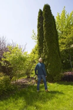 GARDENA TeleCut Heggenschaar - Telescopische Handgrepen Van 70-90 Cm -Tuin En Buiten 799x1200 4