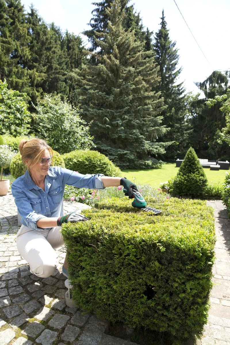 Bosch ISIO Gen III Accu Buxusschaar + Grasschaar 5 Bosch ISIO Gen III Accu Buxusschaar + Grasschaar - Afbeelding 3