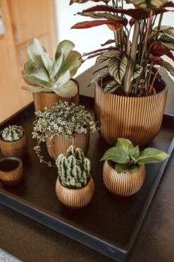 Capi Europe - Bloempot Bol Groove - 23x21 - Goud - Bloempot Voor Binnen - BGVGB134 -Tuin En Buiten 800x1200 46