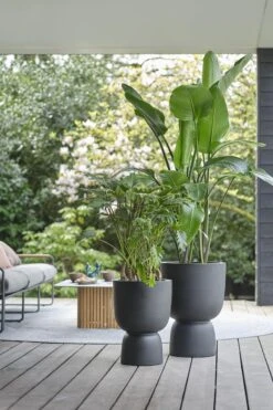 Elho Pure Coupe 41 - Bloempot Voor Binnen & Buiten - Ø 41.3 X H 57.9 Cm - Zwart/Zwart 29 Elho Pure Coupe 41 - Bloempot Voor Binnen & Buiten - Ø 41.3 X H 57.9 Cm - Zwart/Zwart -Tuin En Buiten 800x1200 52