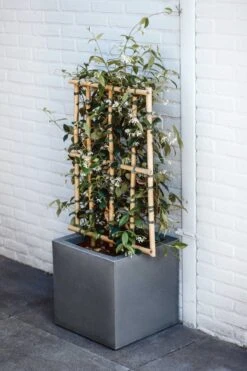 Capi Europe - Bloempot Vierkant Smooth NL - 50x50x50 - Zwart - Voor Binnen En Buiten - KBL904 -Tuin En Buiten 800x1200 53