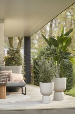 Elho Pure Coupe 35 - Bloempot Voor Binnen & Buiten - Ø 34.9 X H 49.0 Cm - Beige/Balanced Beige -Tuin En Buiten 800x1200 56