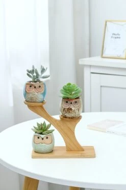 Luxe Bamboe Houten Boom Met 3 Keramiek Uil Bloempotten/Plantenpotten Op Standaard/Voet Voor Binnen En Buiten - Modern Design Bloempot/Plantenpot Op Poten/Pootjes-Plantenbak Mini Cactus Nep Plant Pot Houder - Kleine Bloembakken Plantenrek/Plantenkurk -Tuin En Buiten 800x1200 59