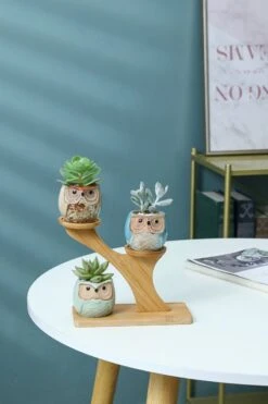 Luxe Bamboe Houten Boom Met 3 Keramiek Uil Bloempotten/Plantenpotten Op Standaard/Voet Voor Binnen En Buiten - Modern Design Bloempot/Plantenpot Op Poten/Pootjes-Plantenbak Mini Cactus Nep Plant Pot Houder - Kleine Bloembakken Plantenrek/Plantenkurk -Tuin En Buiten 800x1200 60