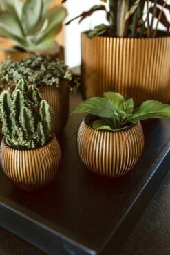 Capi Europe - Vaas Bol Groove XL - 39x33 - Goud - Bloempot Voor Binnen - Opening ⌀24 - GVGB270 -Tuin En Buiten 800x1200 61