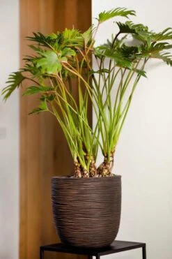 Capi Europe - Bloempot Bol Rib NL - 43x41 - Antraciet - Voor Binnen En Buiten - KOFZ933 -Tuin En Buiten 800x1200 62