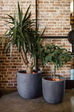 Capi Europe - Bloempot Bol Rib NL - 43x41 - Antraciet - Voor Binnen En Buiten - KOFZ933 -Tuin En Buiten 800x1200 63