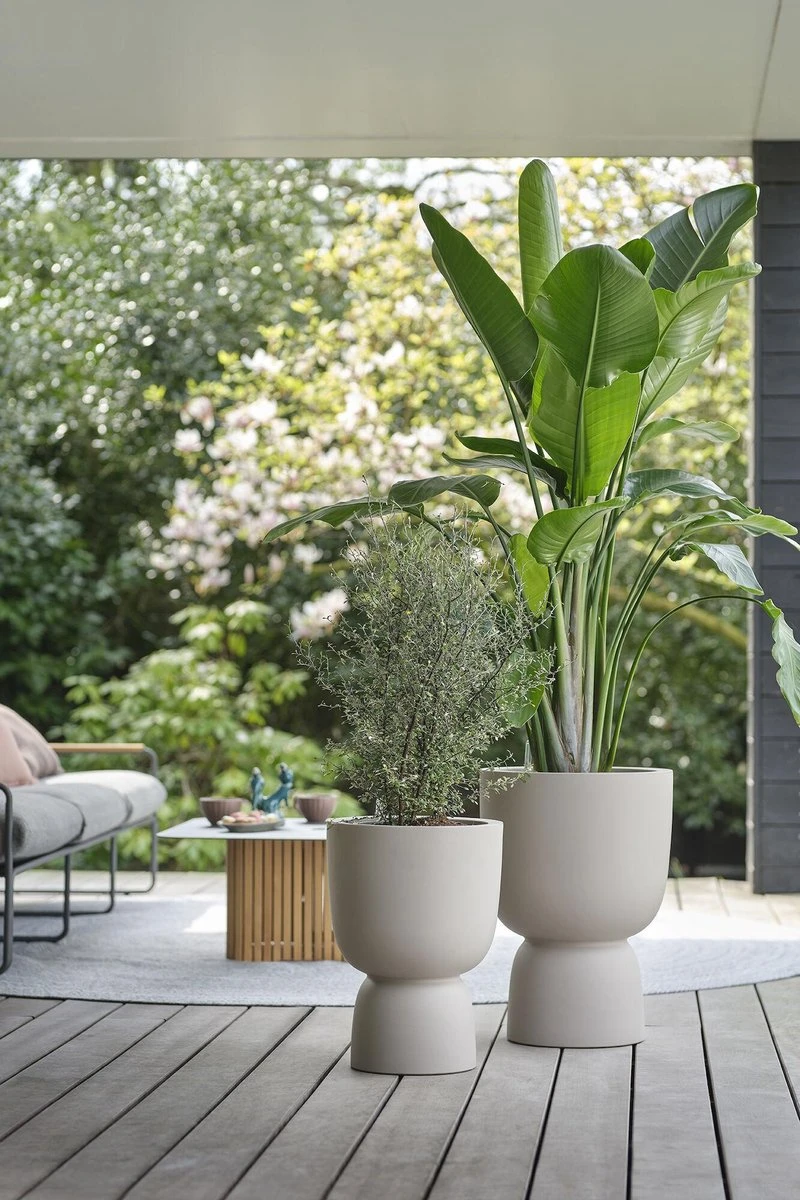 Elho Pure Coupe 41 - Bloempot Voor Binnen & Buiten - Ø 41.3 X H 57.9 Cm - Beige/Balanced Beige 5 Elho Pure Coupe 41 - Bloempot Voor Binnen & Buiten - Ø 41.3 X H 57.9 Cm - Beige/Balanced Beige - Afbeelding 3