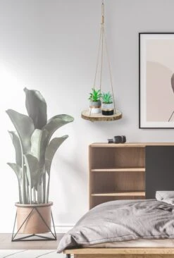 Set Van 2 Boomstam Rond Wandrek Plantenhangers - Boho Jute Houten Plantenrek - Hangpot Voor Binnen/Buiten - Hangende Bloempot Plank - Hangplant Houder - Bohemian Macrame Stijl Wandhanger - Hangplank Plant Hanger - Planthanger - Ø Rond 25-20cm -Tuin En Buiten 809x1200