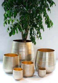 Merkloos Karakter Pot Alu Neo Gold ø40x40cm 8 Merkloos Karakter Pot Alu Neo Gold ø40x40cm -Tuin En Buiten 844x1200