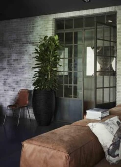 Capi Europe - Vaas Elegant Deluxe Rib NL - 56x84 - Zwart - Voor Binnen En Buiten - KBLR1132 14 Capi Europe - Vaas Elegant Deluxe Rib NL - 56x84 - Zwart - Voor Binnen En Buiten - KBLR1132 -Tuin En Buiten 873x1200