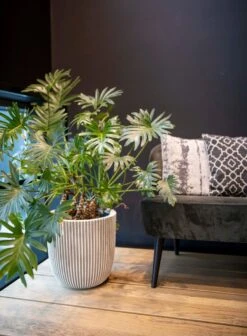 Capi Europe - Vaas Elegant Laag Groove NL - 46x58 - Goud - Voor Binnen En Buiten - KGVGB783 14 Capi Europe - Vaas Elegant Laag Groove NL - 46x58 - Goud - Voor Binnen En Buiten - KGVGB783 -Tuin En Buiten 883x1200 3