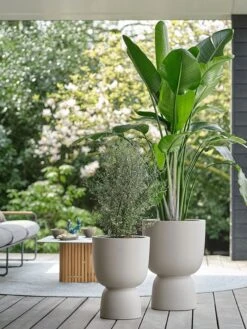 Elho Pure Coupe 35 - Bloempot Voor Binnen & Buiten - Ø 34.9 X H 49.0 Cm - Beige/Balanced Beige -Tuin En Buiten 900x1200 10