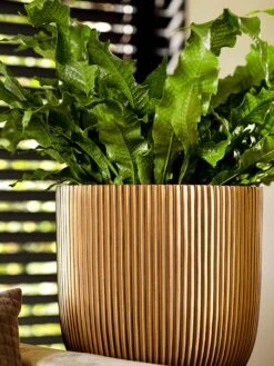 Capi Europe - Bloempot Bol Groove - 23x21 - Goud - Bloempot Voor Binnen - BGVGB134 -Tuin En Buiten 900x1200 6